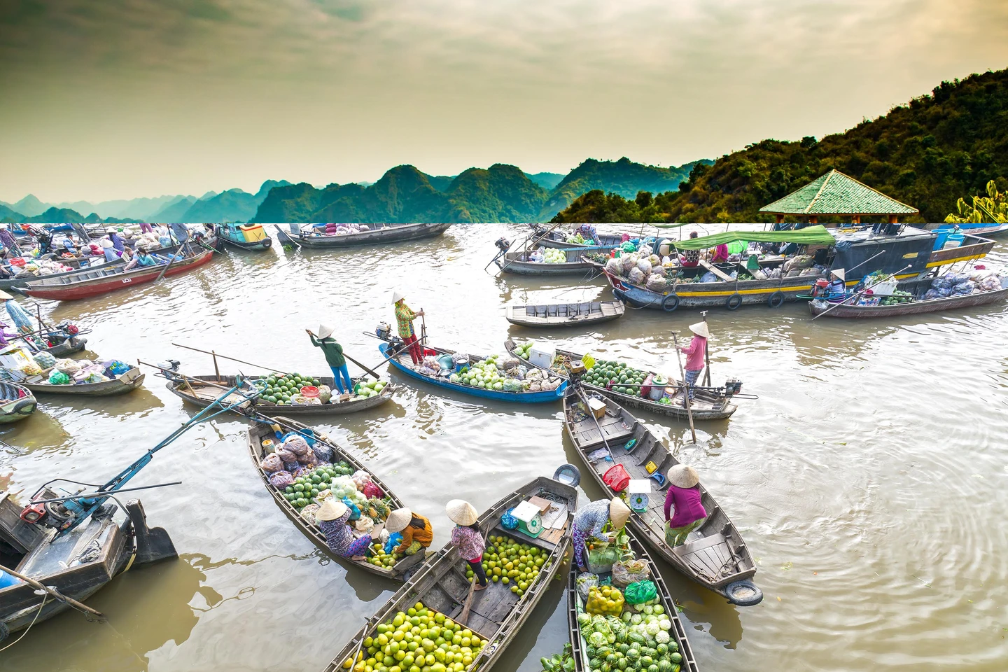 Cruise the Mekong Delta